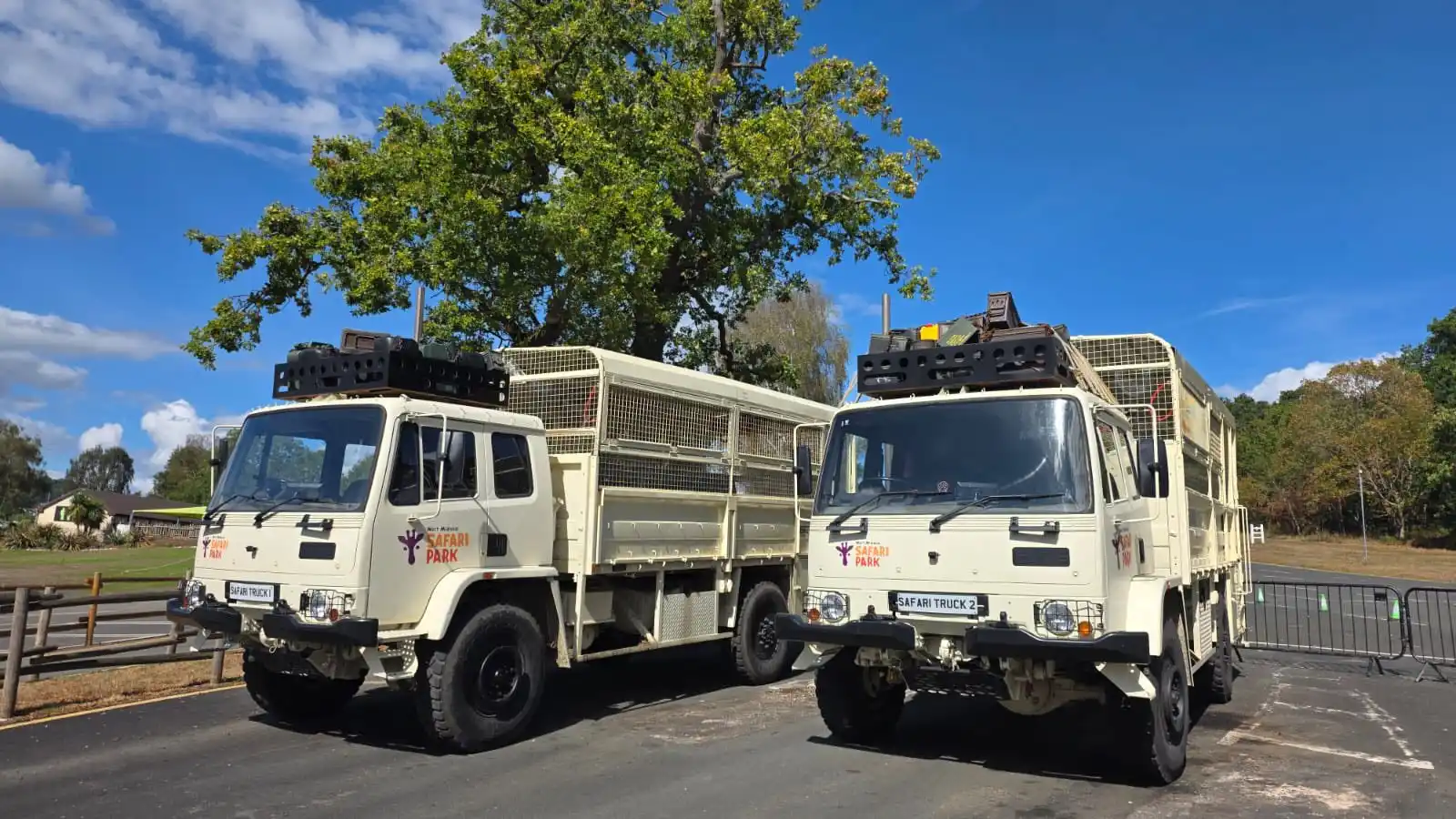 Two safari trucks parked side by side ready for operation at West Midlands Safari Park