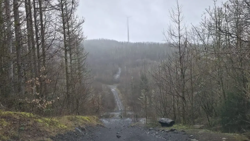 Forestry off-road training route used for 4x4 instructor course