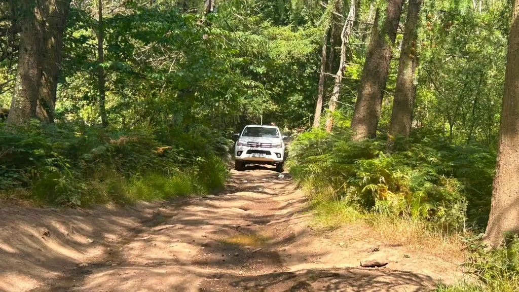 4×4 vehicle demonstrating controlled wheel placement over uneven woodland terrain