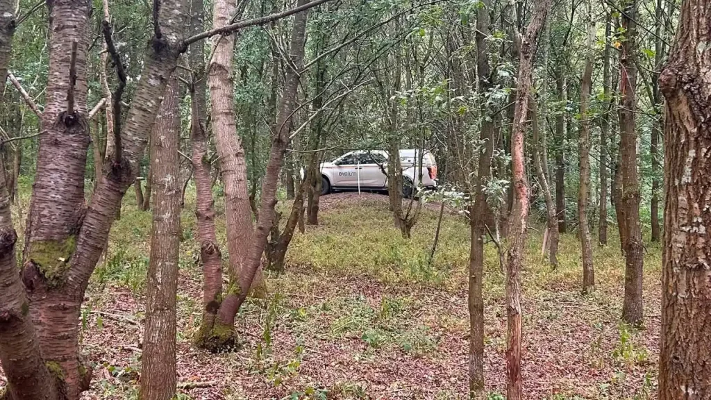     Exolum Isuzu D-Max descending a steep woodland slope during Lantra 4x4 operator driver training